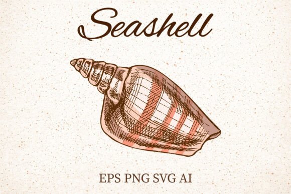Vintage Pink Seashell Clipart Review